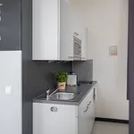 Rent 1 bedroom apartment of 30 m² in Leipzig