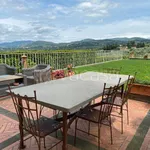 Rent 6 bedroom apartment of 227 m² in Bagno a Ripoli