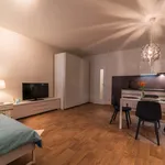 Rent 1 bedroom apartment of 46 m² in Brno