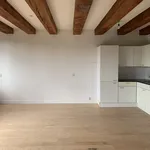 Rent 3 bedroom apartment of 75 m² in Amsterdam