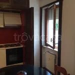 Rent 2 bedroom apartment of 47 m² in Perugia