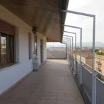 Affitto 3 camera casa di 100 m² in Bologna