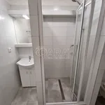 Rent 2 bedroom apartment in Nový Jičín