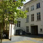 Rent 1 bedroom apartment in Bruges