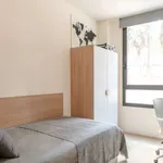 Rent 1 bedroom apartment in granada