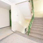 Rent 2 bedroom apartment of 61 m² in Chemnitz