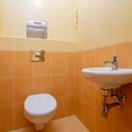 Rent 2 bedroom apartment of 49 m² in Prague