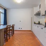 Rent 1 bedroom apartment in Florence