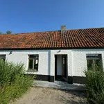 Rent 2 bedroom house of 300 m² in Lissewege