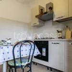 Rent 1 bedroom apartment of 40 m² in Torino