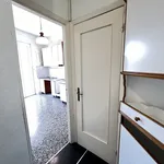 Rent 2 bedroom apartment of 60 m² in Genova