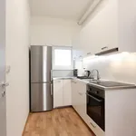 Rent 10 bedroom apartment of 10 m² in Brno