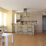 Rent 3 bedroom apartment of 150 m² in Den Haag