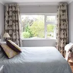 Rent a room of 200 m² in dublin