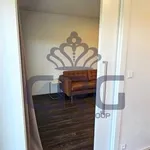 Rent 2 bedroom apartment of 52 m² in Brno-střed