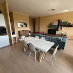 Rent 4 bedroom apartment of 110 m² in Cuneo