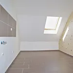 Rent 3 bedroom apartment of 75 m² in Chemnitz