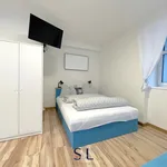 Rent 1 bedroom apartment in Liberec