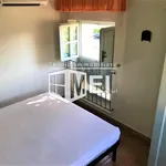 Rent 1 bedroom apartment of 60 m² in Pisa