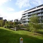 bloomfield park apartments, donnybrook, dublin 4