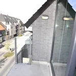 Rent 2 bedroom apartment in TORHOUT