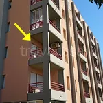 Rent 3 bedroom apartment of 62 m² in Mondolfo