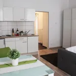 Miete 1 Schlafzimmer wohnung von 25 m² in Vienna