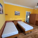 Rent 1 bedroom apartment of 33 m² in Capital City of Prague