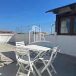 Rent 1 bedroom apartment of 30 m² in Pomezia