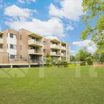 Rent 1 bedroom apartment in Sydney