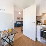 Rent 1 bedroom apartment in lisbon