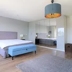 Rent 3 bedroom apartment of 127 m² in Stadsdriehoek