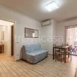 Rent 2 bedroom apartment of 45 m² in Roma