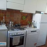 Rent 3 bedroom apartment of 85 m² in Pisa