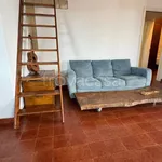 Rent 3 bedroom house of 150 m² in Monopoli