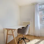 Rent 3 bedroom apartment of 64 m² in Zürich