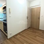 Pronajměte si 2 ložnic/e byt o rozloze 67 m² v Karlovy Vary