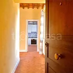 Rent 3 bedroom apartment of 90 m² in Perugia