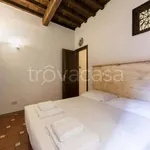 Rent 3 bedroom apartment of 60 m² in Firenze