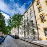 Rent 2 bedroom apartment of 60 m² in Prague