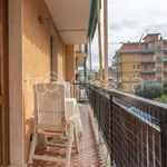 Rent 1 bedroom apartment of 55 m² in Borghetto Santo Spirito