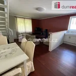 Rent 4 bedroom apartment of 100 m² in Prague