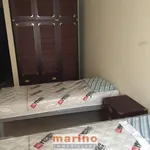 Rent 2 bedroom apartment of 46 m² in Padova