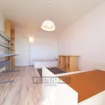 Rent 2 bedroom apartment of 63 m² in České Budějovice