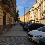 Pronajměte si pokoj o rozloze 16 m² v Prague