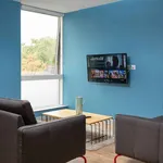 Rent 1 bedroom flat in Cardiff