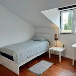 Rent 3 bedroom apartment in Lisbon