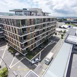 Rent 1 bedroom apartment in Auckland