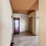 Affitto 5 camera appartamento di 144 m² in Trapani