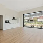 Rent 2 bedroom apartment in VILVOORDE